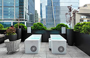 Fitness & Wellness Facilities